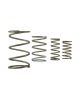 Turbosmart GenV WG60 Spring Replacement Kit