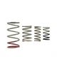 Turbosmart GenV IWG Spring Replacement Kit