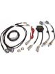 Haltech WB2 NTK Dual Channel CAN O2 Wideband Controller Kit