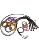 Haltech Nexus R5 Universal Wire-in Harness 5m