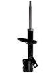 Roadsafe Shock Absorber