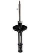 Roadsafe Shock Absorber