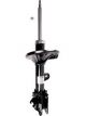 Roadsafe Shock Absorber