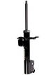 Roadsafe Shock Absorber