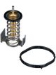 Gates Thermostat