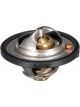 Gates Thermostat