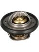 Gates Thermostat
