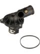 Gates Thermostat