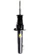 Roadsafe 4WD Foam Cell Shock Absorber