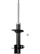 Roadsafe STR Sealed Strut