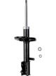 Roadsafe STR Sealed Strut