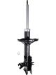 Roadsafe STR Sealed Strut