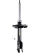 Roadsafe STR Sealed Strut