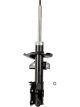 Roadsafe STR Sealed Strut