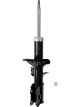 Roadsafe STR Sealed Strut