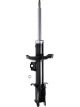 Roadsafe STR Sealed Strut