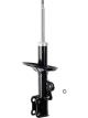 Roadsafe STR Sealed Strut