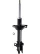 Roadsafe STR Sealed Strut