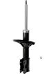 Roadsafe STR Sealed Strut