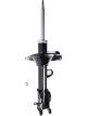 Roadsafe STR Sealed Strut