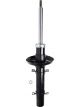 Roadsafe STR Sealed Strut