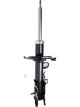 Roadsafe STR Sealed Strut