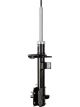 Roadsafe STR Sealed Strut