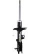 Roadsafe STR Sealed Strut