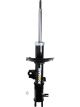 Roadsafe STR Sealed Strut