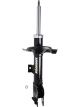 Roadsafe STR Sealed Strut