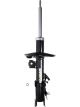 Roadsafe STR Sealed Strut