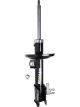 Roadsafe STR Sealed Strut