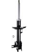 Roadsafe STR Sealed Strut