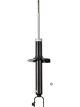 Roadsafe STR Sealed Strut