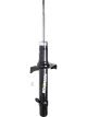 Roadsafe STR Sealed Strut