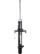 Roadsafe STR Sealed Strut