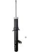 Roadsafe STR Sealed Strut