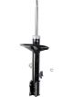 Roadsafe STR Sealed Strut