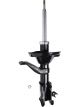 Roadsafe STR Sealed Strut