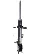 Roadsafe STR Sealed Strut
