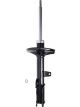 Roadsafe STR Sealed Strut