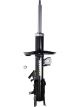 Roadsafe STR Sealed Strut