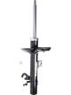 Roadsafe STR Sealed Strut
