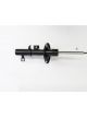Roadsafe STR Sealed Strut