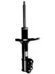 Roadsafe STR Sealed Strut