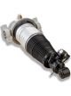 Roadsafe Air Suspension Shock Absorber