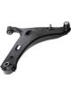 Roadsafe Control Arm