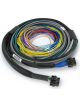 Haltech Nexus S3 / S2 Universal Wire-In Harness 2.5M