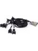 Haltech Nexus Rebel LS EV1 Injector Sub-Harness