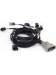 Haltech Nexus Rebel LS Multec 2 Injector Sub Harness
